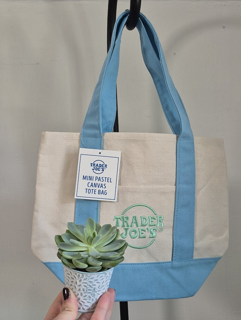 Viral Trader Joes Pastel Canvas Tote Bag in Light Blue